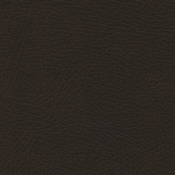 Brisa Distressed | French Roast | Effect leather | Ultrafabrics