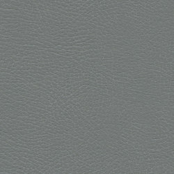 Brisa Distressed | Koala | Effect leather | Ultrafabrics