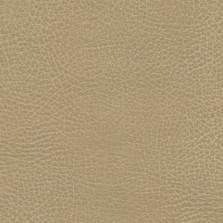 Brisa Frontier | Buckskin | Upholstery fabrics | Ultrafabrics