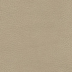 Brisa Frontier | Chamois | Upholstery fabrics | Ultrafabrics