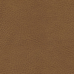 Brisa Frontier | Waylan | Upholstery fabrics | Ultrafabrics