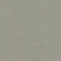 Eco Tech | Limestone | Tissus d'ameublement | Ultrafabrics