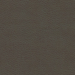 Montage | Acacia | Upholstery fabrics | Ultrafabrics