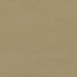 Montage | Alpaca | Upholstery fabrics | Ultrafabrics