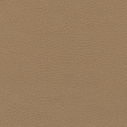 Montage | Cinnamon Toast | Upholstery fabrics | Ultrafabrics