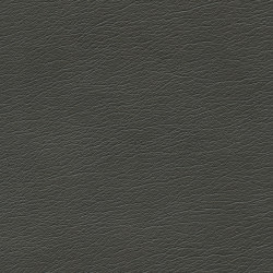 Pearlized | Licorice | Effect leather | Ultrafabrics
