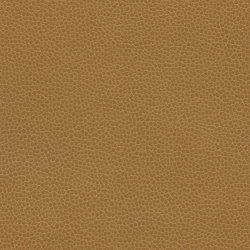 Promessa | Camel | Upholstery fabrics | Ultrafabrics