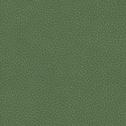Reef Pro | Algae | Upholstery fabrics | Ultrafabrics