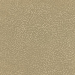 Summit | Barro | Upholstery fabrics | Ultrafabrics