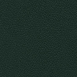 Tottori | Dark Spruce | Upholstery fabrics | Ultrafabrics
