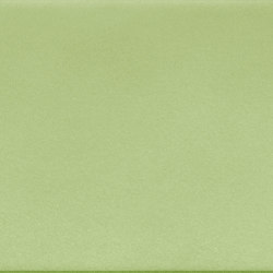 10x60 Wonder W344 Verde Acido | Ceramic tiles | Acquario Due