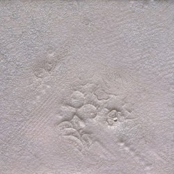 Impronte 20x20 - Imp1R VA905 Bianco | Ceramic tiles | Acquario Due