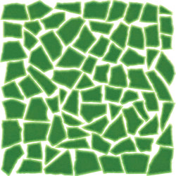 Opus 3-6cm 30x30 Lucida A50 Verde Prato | Ceramic tiles | Acquario Due