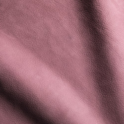VELLUTO Blush | Natural leather | Studioart