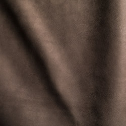VELLUTO Certosino | Colour brown | Studioart