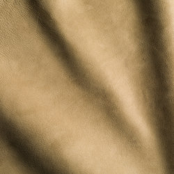 VELLUTO Olive Brown | Natural leather | Studioart