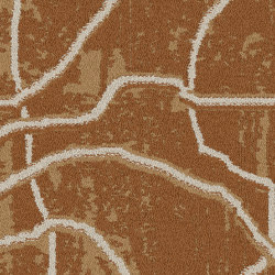 Sampa 8192004 Umber | Carpet tiles | Interface