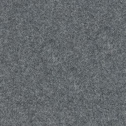 Superflor II 4308002 Grey II | Carpet tiles | Interface