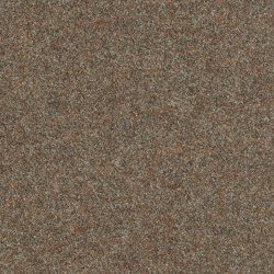 Superflor II 4308008 Irish Coffee II | Carpet tiles | Interface