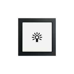 Future® Linear mit Symbol | Switches | Busch-Jaeger