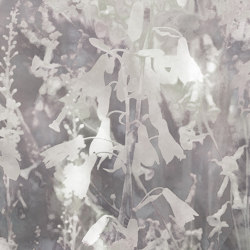 Abstract Meadow - Original | Wall coverings / wallpapers | Feathr