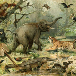 Animal Kingdom - Original | Wall art / Murals | Feathr