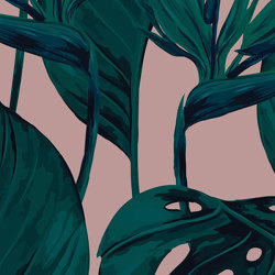 Bird of Paradise - Blush | Revêtements muraux / papiers peint | Feathr