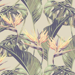 Bird of Paradise - Original | Wall coverings / wallpapers | Feathr