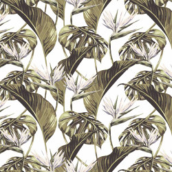 Bird of Paradise - White | Wall coverings / wallpapers | Feathr