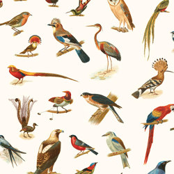Birds - Original | Carta parati / tappezzeria | Feathr