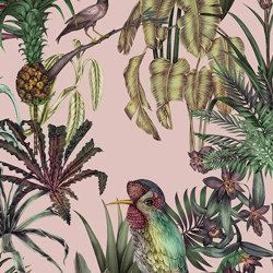 Birds Birds - Pink | Carta parati / tappezzeria | Feathr