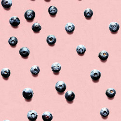 Blueberry - Blush | Wall coverings / wallpapers | Feathr