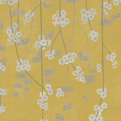 Cherry Blossom - Apple | Wall coverings / wallpapers | Feathr