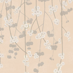 Cherry Blossom - Peach | Wall coverings / wallpapers | Feathr