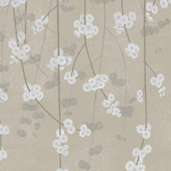 Cherry Blossom - Sand | Carta parati / tappezzeria | Feathr