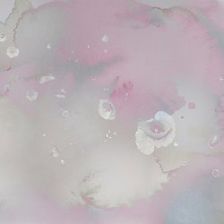 Clouds & Poppies - Blush | Colour grey | Feathr