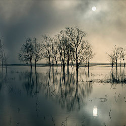 Cloudy Lake - Original | Wall coverings / wallpapers | Feathr