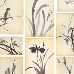 Floral Postcards - Original | Revestimientos de paredes / papeles pintados | Feathr