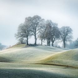 Frosty Field - Original | Wall coverings / wallpapers | Feathr