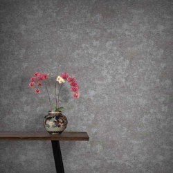 Grattage - Concrete | Revestimientos de paredes / papeles pintados | Feathr