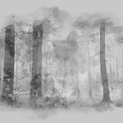 In the Glade - Monochrome | Wall coverings / wallpapers | Feathr