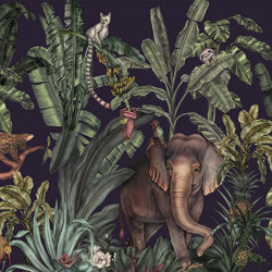Jungle Kingdom - Space | Wall art / Murals | Feathr