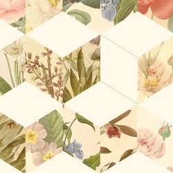 Keziah Flowers - Original | Colour multicoloured | Feathr