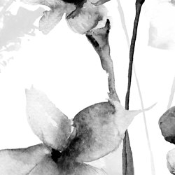 Love in Provence - Monochrome | Wandbeläge / Tapeten | Feathr
