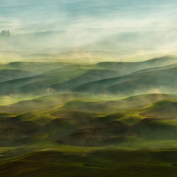 Misty Farmland - Original | Wandbilder / Kunst | Feathr