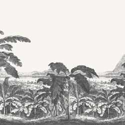 Palms and Mountain - Original