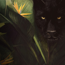Panther - Original | Wandbilder / Kunst | Feathr