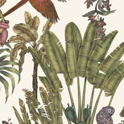 Parrot’s Jungle Home - Cream | Wall coverings / wallpapers | Feathr