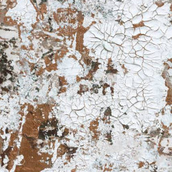 Safari - Bronze | Revestimientos de paredes / papeles pintados | Feathr
