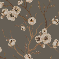 Sakura in Bloom - Green | Wall coverings / wallpapers | Feathr